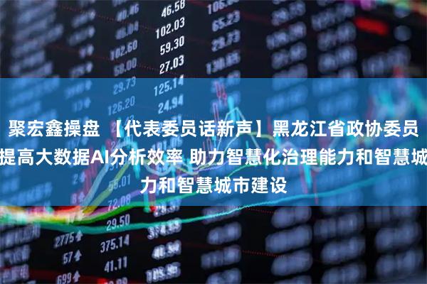聚宏鑫操盘 【代表委员话新声】黑龙江省政协委员李磊：提高大数据AI分析效率 助力智慧化治理能力和智慧城市建设