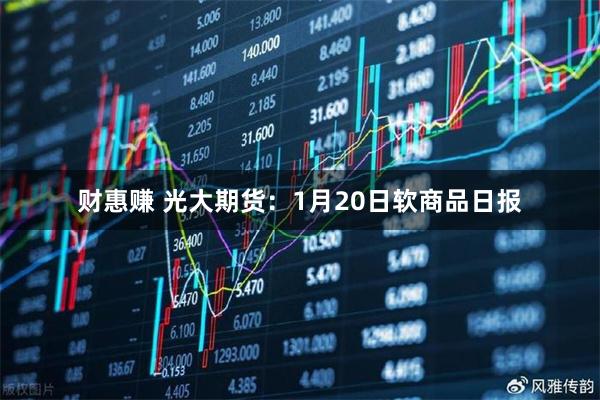 财惠赚 光大期货：1月20日软商品日报